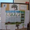 Eco-Escolas - Dia Mundial da Árvore 2017 / 2018